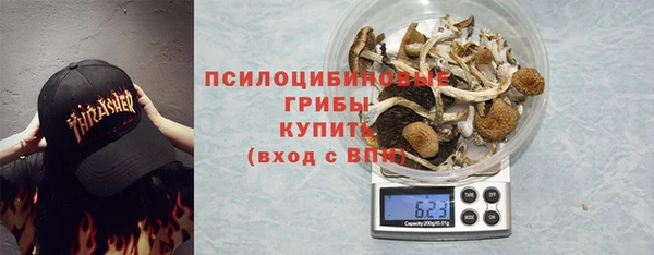 ПСИЛОЦИБИНОВЫЕ ГРИБЫ Арсеньев