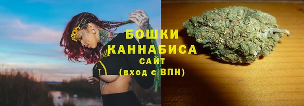 PSILOCYBIN Аркадак