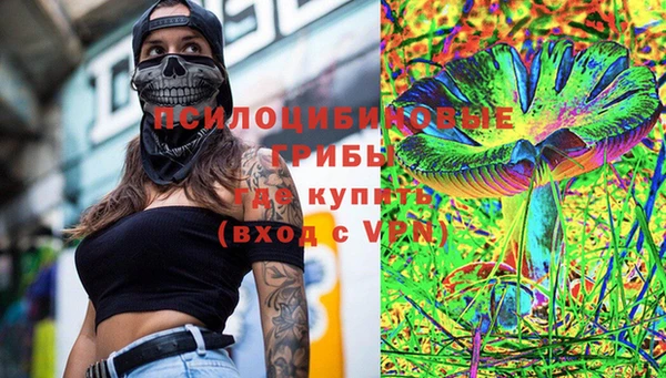 PSILOCYBIN Аркадак