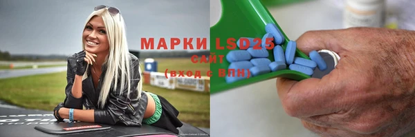 ПСИЛОЦИБИНОВЫЕ ГРИБЫ Арсеньев