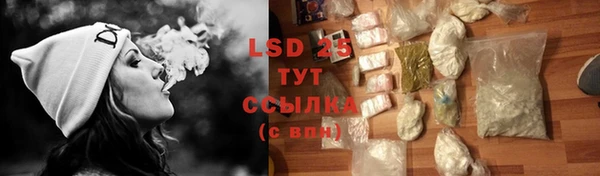 PSILOCYBIN Аркадак