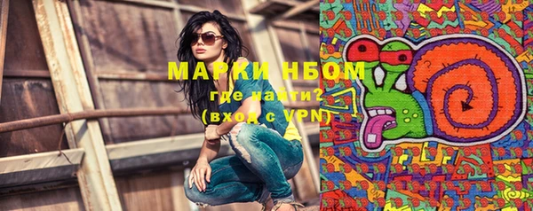 PSILOCYBIN Аркадак