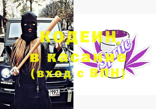 ПСИЛОЦИБИНОВЫЕ ГРИБЫ Арсеньев