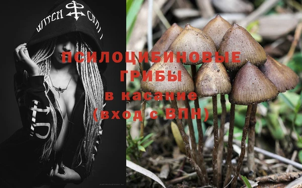 ПСИЛОЦИБИНОВЫЕ ГРИБЫ Арсеньев