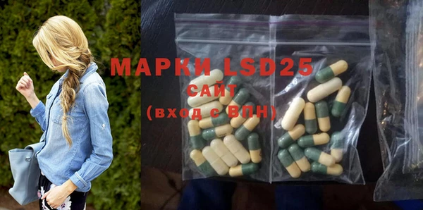 ПСИЛОЦИБИНОВЫЕ ГРИБЫ Арсеньев
