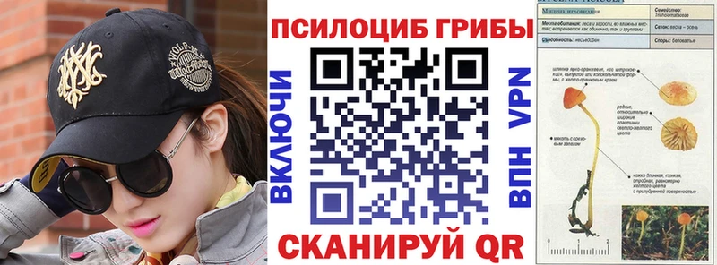 ОМГ ОМГ вход  Няндома  Псилоцибиновые грибы GOLDEN TEACHER  как найти закладки 