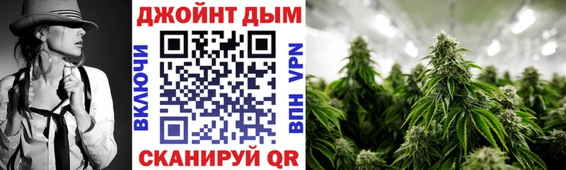 Канабис планчик  как найти закладки  МЕГА зеркало  Няндома 